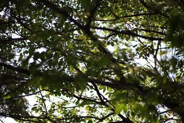 IMG_08601.jpg
