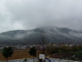 723527