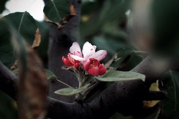 669C7D03-FC1D-481D-BA5D-5FAB698009C4/L0/001