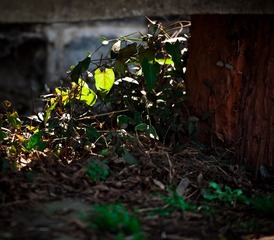 DSC_0103-2.jpg