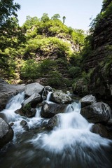 _DSC3386-1-1.jpg