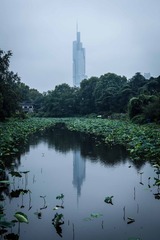 _DSC1176