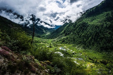 _DSC0401