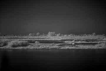 _DSC1719