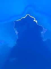 1000015351