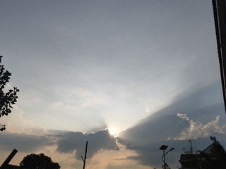 1000015142