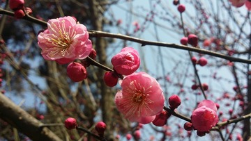 27415F5F-DC14-4C1A-9F97-F940DA67ABF0/L0/001