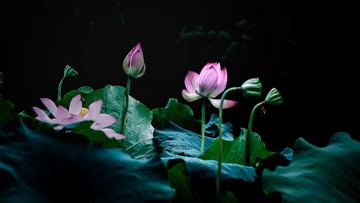 BDDE37EE-ED11-491E-9E4D-5B81C4F5F1EF/L0/001