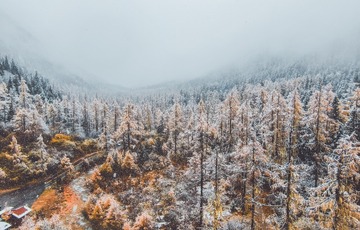 3665
