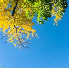 00B2D4F1-DD86-411A-BA2C-C8226E1B38E2/L0/001