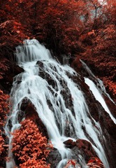 _DSC9268.jpg