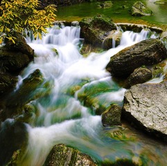 DSC_8845.jpg