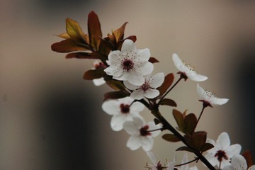DSC05629.JPG