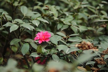 DSC05656.JPG