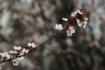 DSC05660.JPG