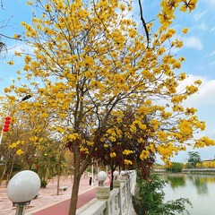 07FDDE6B-3CD4-4705-93B8-00E60A1855D1/L0/001