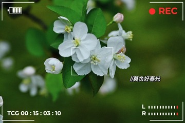 D91AE6A5-EB04-4FC1-A00F-7FF0D748A629/L0/001