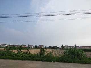 433902