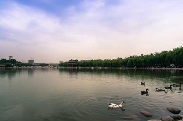 IMGP3056.jpg