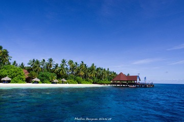 IMGP2272_副本.jpg
