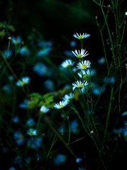 7152D30B-E765-4F5B-BDC1-62E3D888BED0/L0/001