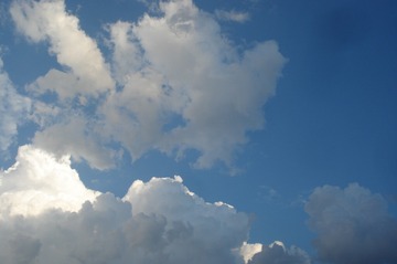 1246296
