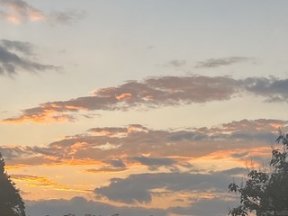 C66302B2-458B-4AB4-945B-06550B0D2513/L0/001