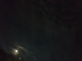 1091072