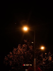 1000121539