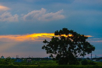 612AD2B8-A48D-4813-9028-86D2856DD943/L0/001