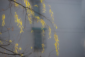 AE514CB3-D28D-4C0A-9E1B-3A3FEE31F037/L0/001