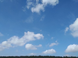 57021