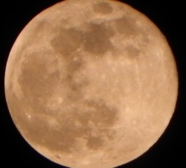 1145557