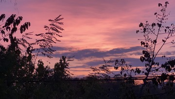 A064EE19-9709-4D83-84D8-137C860340B2/L0/001