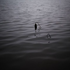 P1000031-4.jpg