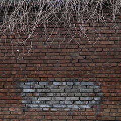 P1000053-1.jpg