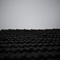 P1000107-2.jpg