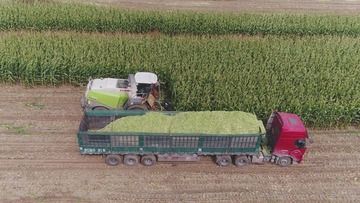 DJI_0056 (2)