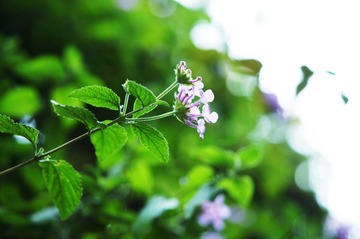DSC05159-ps.jpg