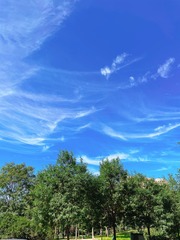 696A4914-A8A0-47BC-892B-495E93B1BBB0/L0/001