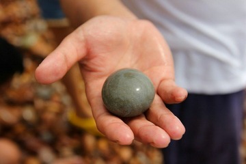 IMG_6038.JPG