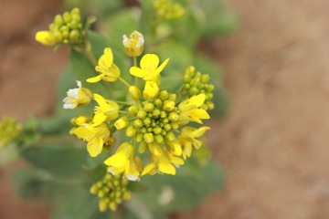 IMG_8826.JPG