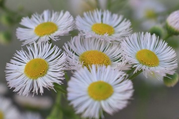 IMG_1321.JPG