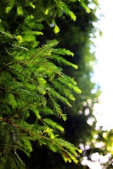 5D9B117E-2765-4C3C-AA92-F2C7447F3A65/L0/001