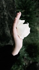 F7C7B8D1-D51B-4015-85BC-D4E174CC98CB/L0/001