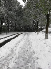 198