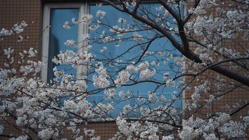 9D94892A-3D00-48A5-9103-BC4D0092BF5D/L0/001