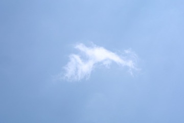 604AD910-5091-464F-9914-45409EEAF76E/L0/001