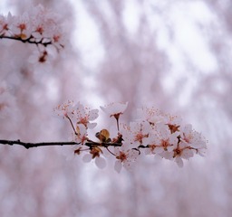 B6077EAE-626C-4832-9C87-3DE490FD5E48/L0/001