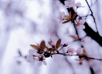 C7430AF7-B6FB-4999-B5A4-7A1ABA68C96D/L0/001